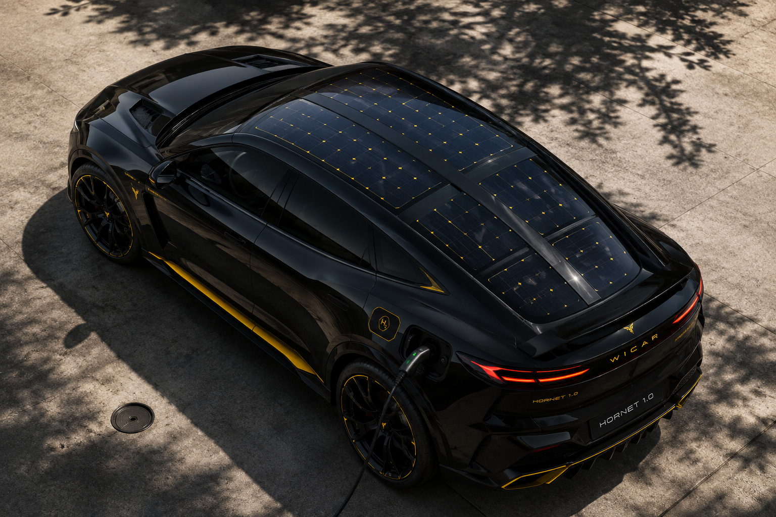 Hornet 1.0 Solar Roof von oben